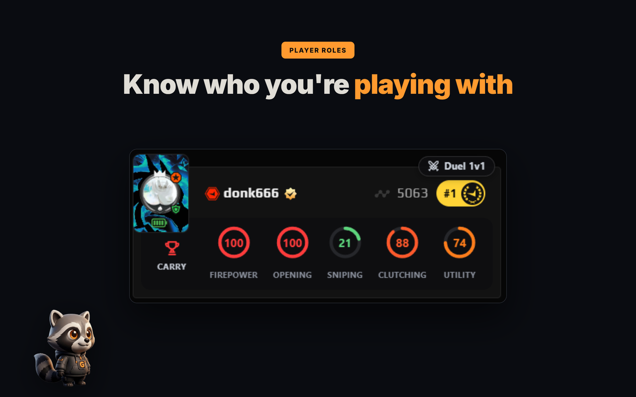 player roles