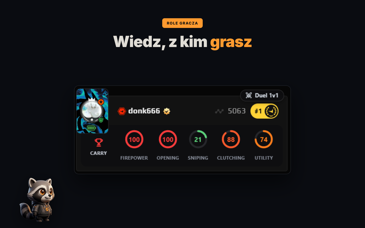 role graczy