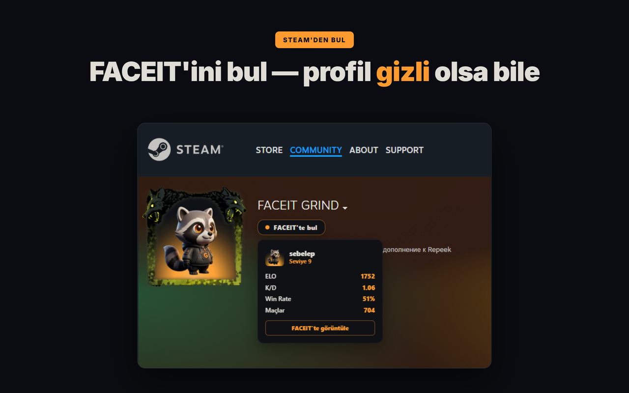 steam'den faceit